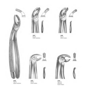D002 Dental Extracting Forceps English Pattern lower premolars upper molars