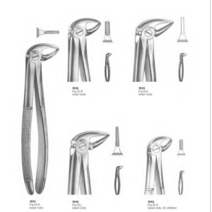 D003 Dental Extracting Forceps English Pattern lower roots