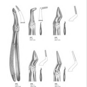 D004 Dental Extracting Forceps English Pattern upper roots upper wisdoms Relax