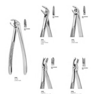 D009 Dental Extracting Forceps English Pattern lower incisor lower roots upper molars