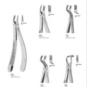 D010 Dental Extracting Forceps English Pattern upper molars third molard lower roots