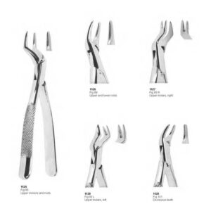 D024 Dental Extracting Forceps American Pattern upper incisors and roots deciduous teeth